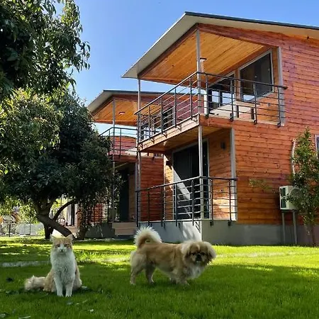 Ferienhaus Jakuzi Olanagi Sunan Rahat Bir Kir Evi Avohomes