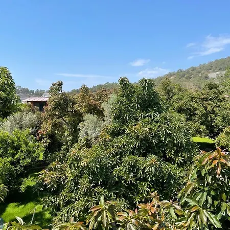 Ferienhaus Jakuzi Olanagi Sunan Rahat Bir Kir Evi Avohomes Fethiye